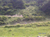 s_pict0081_thumb.png